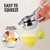image:imageLemon Squeezer Stainless Steel with Premium Quality Heavy Duty Solid Metal Squeezer Bowl  Large Manual Citrus Press Juicer and Lime Squeezer Stainless Steel  by Zulay KitchenSilver