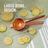 image:imageLemon Squeezer Stainless Steel with Premium Quality Heavy Duty Solid Metal Squeezer Bowl  Large Manual Citrus Press Juicer and Lime Squeezer Stainless Steel  by Zulay KitchenRose Gold