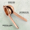 image:imageLemon Squeezer Stainless Steel with Premium Quality Heavy Duty Solid Metal Squeezer Bowl  Large Manual Citrus Press Juicer and Lime Squeezer Stainless Steel  by Zulay KitchenRose Gold