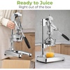image:imageZulay Kitchen Cast Iron Juicer  Heavy Duty Manual Juicer with Detachable Strainers for Easy Cleaning Orange Juice Press for Citrus Fruits Perfect for Bartenders Juice Lovers amp Health EnthusiastsChrome  Chrome