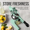 image:imageZulay Kitchen Cast Iron Juicer  Heavy Duty Manual Juicer with Detachable Strainers for Easy Cleaning Orange Juice Press for Citrus Fruits Perfect for Bartenders Juice Lovers amp Health EnthusiastsOriginal  Mint