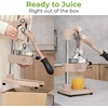image:imageZulay Kitchen Cast Iron Juicer  Heavy Duty Manual Juicer with Detachable Strainers for Easy Cleaning Orange Juice Press for Citrus Fruits Perfect for Bartenders Juice Lovers amp Health EnthusiastsOriginal  Soft Clay