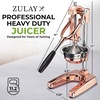 image:imageZulay Kitchen Cast Iron Juicer  Heavy Duty Manual Juicer with Detachable Strainers for Easy Cleaning Orange Juice Press for Citrus Fruits Perfect for Bartenders Juice Lovers amp Health EnthusiastsChrome  Rose Gold