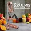 image:imageZulay Kitchen Cast Iron Juicer  Heavy Duty Manual Juicer with Detachable Strainers for Easy Cleaning Orange Juice Press for Citrus Fruits Perfect for Bartenders Juice Lovers amp Health EnthusiastsChrome  Rose Gold