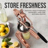image:imageZulay Kitchen Cast Iron Juicer  Heavy Duty Manual Juicer with Detachable Strainers for Easy Cleaning Orange Juice Press for Citrus Fruits Perfect for Bartenders Juice Lovers amp Health EnthusiastsChrome  Rose Gold