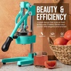 image:imageZulay Kitchen Cast Iron Juicer  Heavy Duty Manual Juicer with Detachable Strainers for Easy Cleaning Orange Juice Press for Citrus Fruits Perfect for Bartenders Juice Lovers amp Health EnthusiastsOriginal  Teal