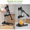image:imageZulay Kitchen Cast Iron Juicer  Heavy Duty Manual Juicer with Detachable Strainers for Easy Cleaning Orange Juice Press for Citrus Fruits Perfect for Bartenders Juice Lovers amp Health EnthusiastsXL  Black