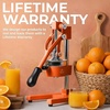 image:imageZulay Kitchen Cast Iron Juicer  Heavy Duty Manual Juicer with Detachable Strainers for Easy Cleaning Orange Juice Press for Citrus Fruits Perfect for Bartenders Juice Lovers amp Health EnthusiastsOriginal  Orange