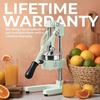 image:imageZulay Kitchen Cast Iron Juicer  Heavy Duty Manual Juicer with Detachable Strainers for Easy Cleaning Orange Juice Press for Citrus Fruits Perfect for Bartenders Juice Lovers amp Health EnthusiastsOriginal  Eucalyptus Mint