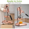 image:imageZulay Kitchen Cast Iron Juicer  Heavy Duty Manual Juicer with Detachable Strainers for Easy Cleaning Orange Juice Press for Citrus Fruits Perfect for Bartenders Juice Lovers amp Health EnthusiastsChrome  Rose Gold