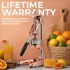 image:imageZulay Kitchen Cast Iron Juicer  Heavy Duty Manual Juicer with Detachable Strainers for Easy Cleaning Orange Juice Press for Citrus Fruits Perfect for Bartenders Juice Lovers amp Health EnthusiastsChrome  Rose Gold