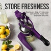 image:imageZulay Kitchen Cast Iron Juicer  Heavy Duty Manual Juicer with Detachable Strainers for Easy Cleaning Orange Juice Press for Citrus Fruits Perfect for Bartenders Juice Lovers amp Health EnthusiastsOriginal  Plum