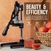 image:imageZulay Kitchen Cast Iron Juicer  Heavy Duty Manual Juicer with Detachable Strainers for Easy Cleaning Orange Juice Press for Citrus Fruits Perfect for Bartenders Juice Lovers amp Health EnthusiastsXL  Black