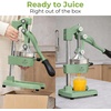 image:imageZulay Kitchen Cast Iron Juicer  Heavy Duty Manual Juicer with Detachable Strainers for Easy Cleaning Orange Juice Press for Citrus Fruits Perfect for Bartenders Juice Lovers amp Health EnthusiastsOriginal  Sage Green