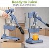 image:imageZulay Kitchen Cast Iron Juicer  Heavy Duty Manual Juicer with Detachable Strainers for Easy Cleaning Orange Juice Press for Citrus Fruits Perfect for Bartenders Juice Lovers amp Health EnthusiastsOriginal  Costal Slate