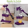 image:imageZulay Kitchen Cast Iron Juicer  Heavy Duty Manual Juicer with Detachable Strainers for Easy Cleaning Orange Juice Press for Citrus Fruits Perfect for Bartenders Juice Lovers amp Health EnthusiastsOriginal  Plum