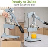 image:imageZulay Kitchen Cast Iron Juicer  Heavy Duty Manual Juicer with Detachable Strainers for Easy Cleaning Orange Juice Press for Citrus Fruits Perfect for Bartenders Juice Lovers amp Health EnthusiastsOriginal  Periwinkle