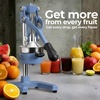 image:imageZulay Kitchen Cast Iron Juicer  Heavy Duty Manual Juicer with Detachable Strainers for Easy Cleaning Orange Juice Press for Citrus Fruits Perfect for Bartenders Juice Lovers amp Health EnthusiastsOriginal  Costal Slate
