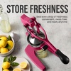image:imageZulay Kitchen Cast Iron Juicer  Heavy Duty Manual Juicer with Detachable Strainers for Easy Cleaning Orange Juice Press for Citrus Fruits Perfect for Bartenders Juice Lovers amp Health EnthusiastsOriginal  Magenta