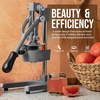 image:imageZulay Kitchen Cast Iron Juicer  Heavy Duty Manual Juicer with Detachable Strainers for Easy Cleaning Orange Juice Press for Citrus Fruits Perfect for Bartenders Juice Lovers amp Health EnthusiastsOriginal  Grey