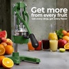 image:imageZulay Kitchen Cast Iron Juicer  Heavy Duty Manual Juicer with Detachable Strainers for Easy Cleaning Orange Juice Press for Citrus Fruits Perfect for Bartenders Juice Lovers amp Health EnthusiastsOriginal  Green