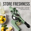 image:imageZulay Kitchen Cast Iron Juicer  Heavy Duty Manual Juicer with Detachable Strainers for Easy Cleaning Orange Juice Press for Citrus Fruits Perfect for Bartenders Juice Lovers amp Health EnthusiastsOriginal  Sage Green