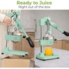 image:imageZulay Kitchen Cast Iron Juicer  Heavy Duty Manual Juicer with Detachable Strainers for Easy Cleaning Orange Juice Press for Citrus Fruits Perfect for Bartenders Juice Lovers amp Health EnthusiastsOriginal  Mint