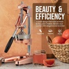 image:imageZulay Kitchen Cast Iron Juicer  Heavy Duty Manual Juicer with Detachable Strainers for Easy Cleaning Orange Juice Press for Citrus Fruits Perfect for Bartenders Juice Lovers amp Health EnthusiastsChrome  Rose Gold