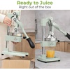 image:imageZulay Kitchen Cast Iron Juicer  Heavy Duty Manual Juicer with Detachable Strainers for Easy Cleaning Orange Juice Press for Citrus Fruits Perfect for Bartenders Juice Lovers amp Health EnthusiastsOriginal  Eucalyptus Mint