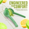image:imageZulay Kitchen Metal 2in1 Lemon Squeezer  Sturdy Max Extraction Hand Juicer Lemon Squeezer Gets Every Last Drop  Easy to Clean Manual Citrus Juicer  EasyUse Lemon Juicer Squeezer  RedYellowGreen  Lime