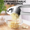 image:imageZulay Kitchen Premium Garlic Press Set  Rust Proof Professional Garlic Mincer Tool  EasySqueeze EasyClean with Soft Ergonomic Handle  Silicone Garlic Peeler amp Brush SilverStandard Chrome