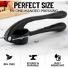 image:imageZulay Kitchen Premium Garlic Press Set  Rust Proof Professional Garlic Mincer Tool  EasySqueeze EasyClean with Soft Ergonomic Handle  Silicone Garlic Peeler amp Brush SilverStandard Black