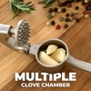 image:imageZulay Kitchen Premium Garlic Press Set  Rust Proof Professional Garlic Mincer Tool  EasySqueeze EasyClean with Soft Ergonomic Handle  Silicone Garlic Peeler amp Brush SilverStandard Imperial Silver