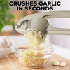 image:imageZulay Kitchen Premium Garlic Press Set  Rust Proof Professional Garlic Mincer Tool  EasySqueeze EasyClean with Soft Ergonomic Handle  Silicone Garlic Peeler amp Brush SilverStandard Imperial Silver