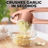 image:imageZulay Kitchen Premium Garlic Press Set  Rust Proof Professional Garlic Mincer Tool  EasySqueeze EasyClean with Soft Ergonomic Handle  Silicone Garlic Peeler amp Brush SilverStandard Rose Gold