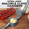 image:imageZulay Kitchen Premium Garlic Press Set  Rust Proof Professional Garlic Mincer Tool  EasySqueeze EasyClean with Soft Ergonomic Handle  Silicone Garlic Peeler amp Brush SilverStandard Slate