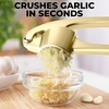 image:imageZulay Kitchen Premium Garlic Press Set  Rust Proof Professional Garlic Mincer Tool  EasySqueeze EasyClean with Soft Ergonomic Handle  Silicone Garlic Peeler amp Brush SilverStandard Gold