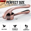 image:imageZulay Kitchen Premium Garlic Press Set  Rust Proof Professional Garlic Mincer Tool  EasySqueeze EasyClean with Soft Ergonomic Handle  Silicone Garlic Peeler amp Brush SilverStandard Copper