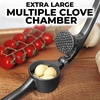 image:imageZulay Kitchen Premium Garlic Press Set  Rust Proof Professional Garlic Mincer Tool  EasySqueeze EasyClean with Soft Ergonomic Handle  Silicone Garlic Peeler amp Brush SilverStandard Dark Gray