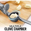 image:imageZulay Kitchen Premium Garlic Press Set  Rust Proof Professional Garlic Mincer Tool  EasySqueeze EasyClean with Soft Ergonomic Handle  Silicone Garlic Peeler amp Brush SilverStandard Slate