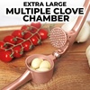 image:imageZulay Kitchen Premium Garlic Press Set  Rust Proof Professional Garlic Mincer Tool  EasySqueeze EasyClean with Soft Ergonomic Handle  Silicone Garlic Peeler amp Brush SilverStandard Rose Gold