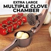 image:imageZulay Kitchen Premium Garlic Press Set  Rust Proof Professional Garlic Mincer Tool  EasySqueeze EasyClean with Soft Ergonomic Handle  Silicone Garlic Peeler amp Brush SilverStandard Copper