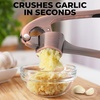 image:imageZulay Kitchen Premium Garlic Press Set  Rust Proof Professional Garlic Mincer Tool  EasySqueeze EasyClean with Soft Ergonomic Handle  Silicone Garlic Peeler amp Brush SilverStandard Copper