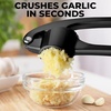 image:imageZulay Kitchen Premium Garlic Press Set  Rust Proof Professional Garlic Mincer Tool  EasySqueeze EasyClean with Soft Ergonomic Handle  Silicone Garlic Peeler amp Brush SilverStandard Black