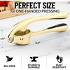image:imageZulay Kitchen Premium Garlic Press Set  Rust Proof Professional Garlic Mincer Tool  EasySqueeze EasyClean with Soft Ergonomic Handle  Silicone Garlic Peeler amp Brush SilverStandard Gold