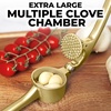 image:imageZulay Kitchen Premium Garlic Press Set  Rust Proof Professional Garlic Mincer Tool  EasySqueeze EasyClean with Soft Ergonomic Handle  Silicone Garlic Peeler amp Brush SilverStandard Gold