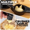 image:imageZulay Kitchen Premium Garlic Press Set  Rust Proof Professional Garlic Mincer Tool  EasySqueeze EasyClean with Soft Ergonomic Handle  Silicone Garlic Peeler amp Brush SilverPremium Black