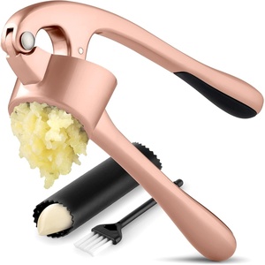 image:imageZulay Kitchen Premium Garlic Press Set  Rust Proof Professional Garlic Mincer Tool  EasySqueeze EasyClean with Soft Ergonomic Handle  Silicone Garlic Peeler amp Brush SilverStandard Rose Gold