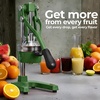 image:imageZulay Kitchen Pulperizer 9 in 1 Cast Iron Juicer  EasytoClean HeavyDuty Manual Juicer with Presser Attachment to Juice All Types of Fruits Extra Tall with Stainless Steel Bowl  WhiteOriginal  Green