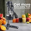 image:imageZulay Kitchen Pulperizer 9 in 1 Cast Iron Juicer  EasytoClean HeavyDuty Manual Juicer with Presser Attachment to Juice All Types of Fruits Extra Tall with Stainless Steel Bowl  WhiteOriginal  Graphite
